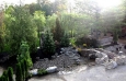Show Garden 16